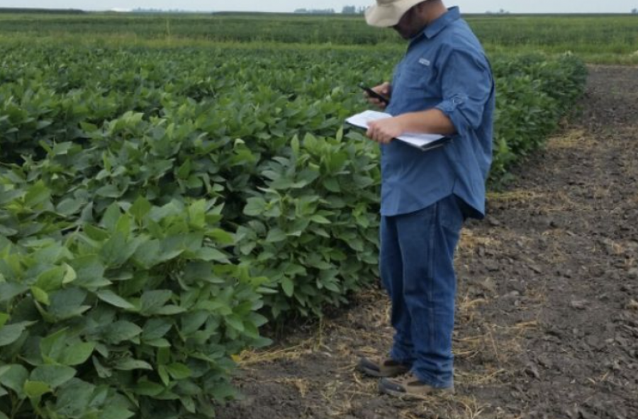 Kaiima’s Ori Ben-Herzel taking notes about one of the company’s soybean projects
